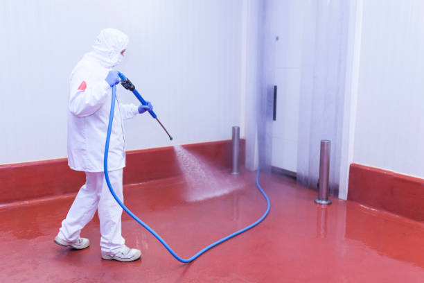 Best Building Exterior Pressure Washing in Black Point Green Point, CA